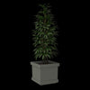 Serralunga - Planter Neoclassic Quadro Liscio 3ds Max