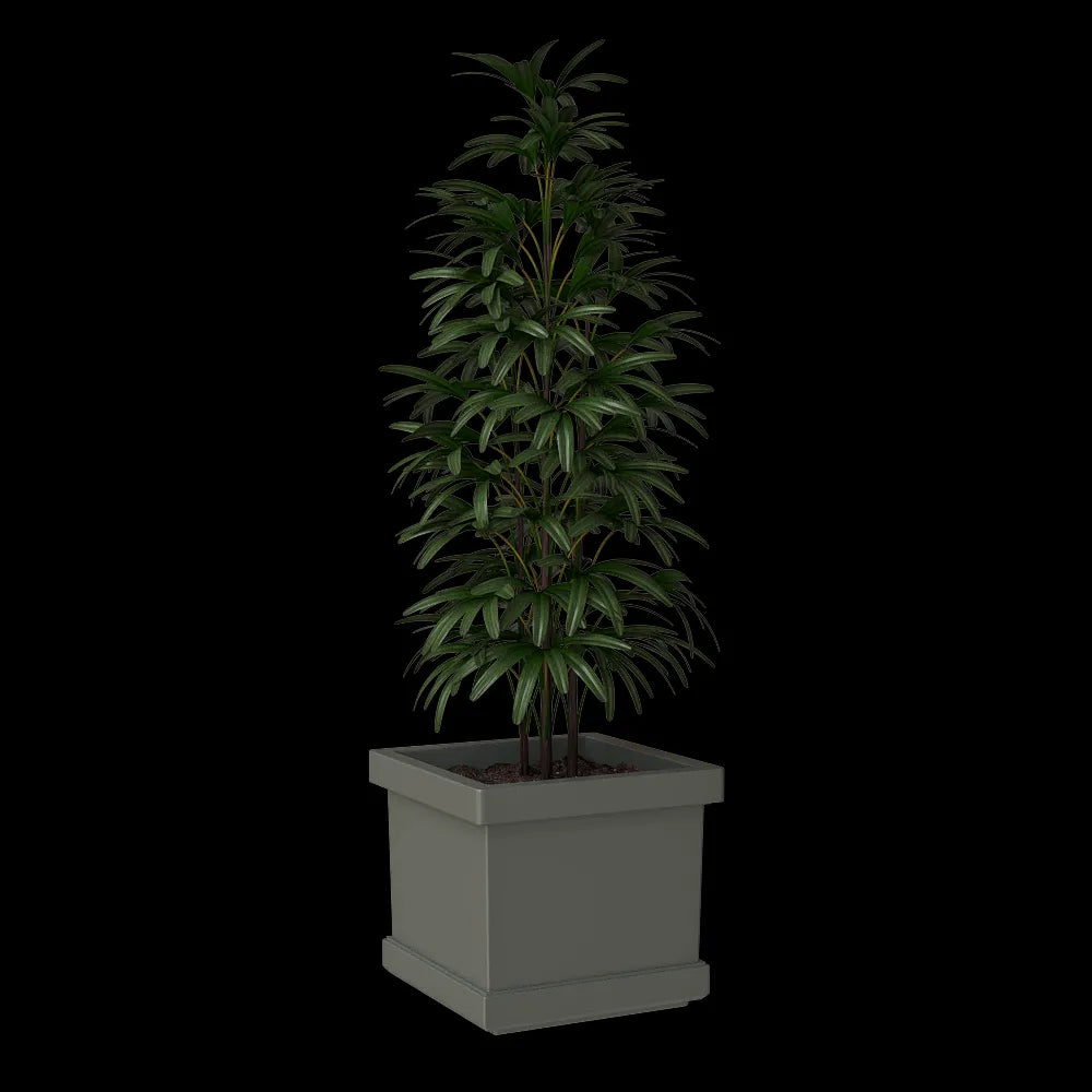 Serralunga - Planter Neoclassic Quadro Liscio 3ds Max