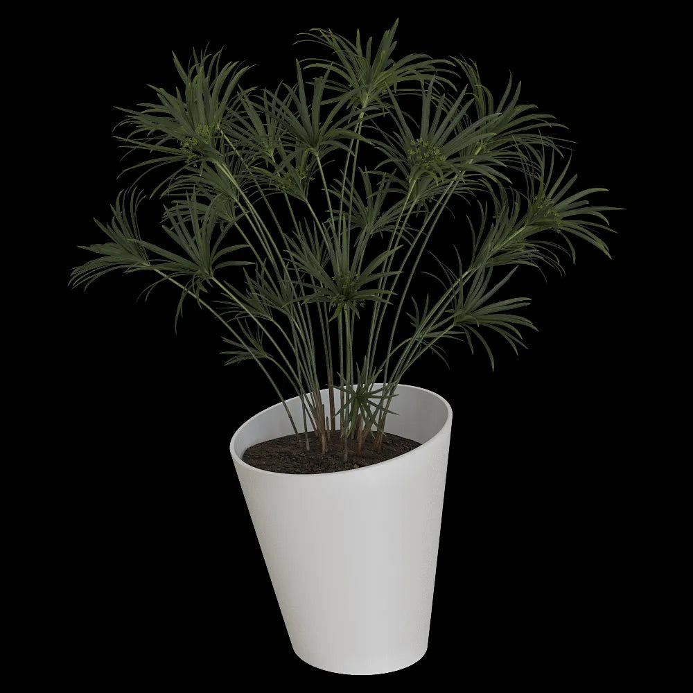 Serralunga - Planter Pisa 3ds Max