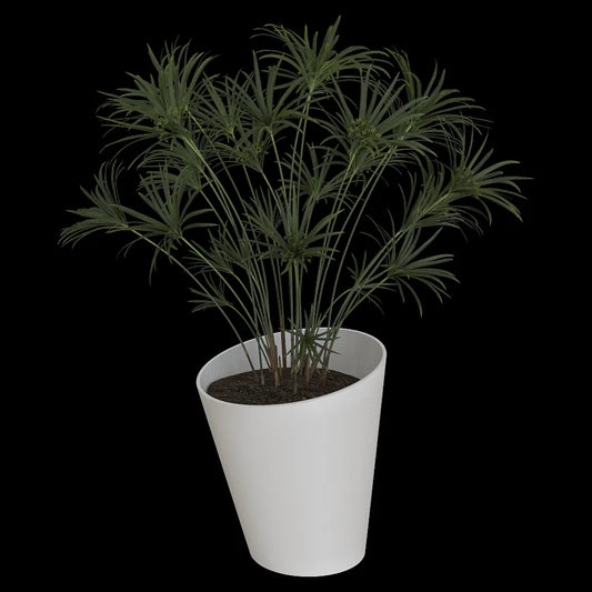 Serralunga - Planter Pisa 3ds Max