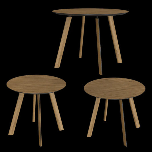 Tony Roaks - Dining table Brasko 3ds Max