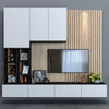 Tv wall set 33 3dsMax Model